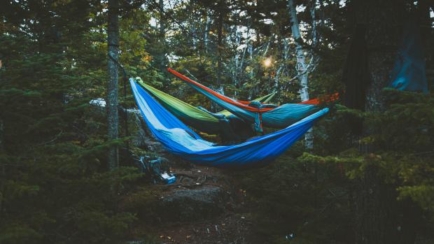 hammock in the woods