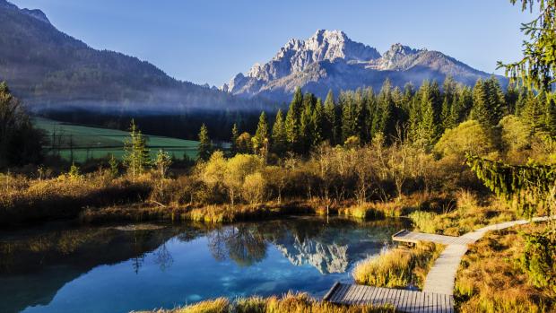 scenic lake and forest