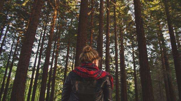 woman in the middle of a forest